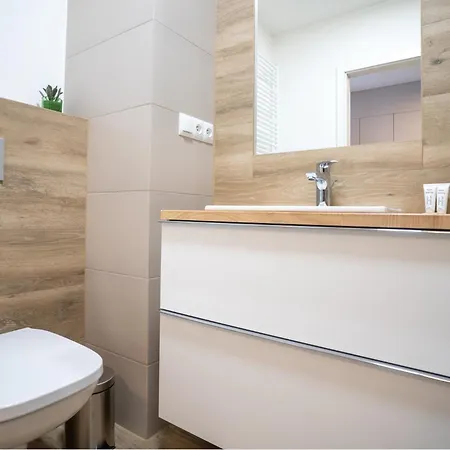 Business Deluxe By Bookinghost Katowice