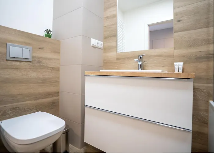 Business Deluxe By Bookinghost Katowice